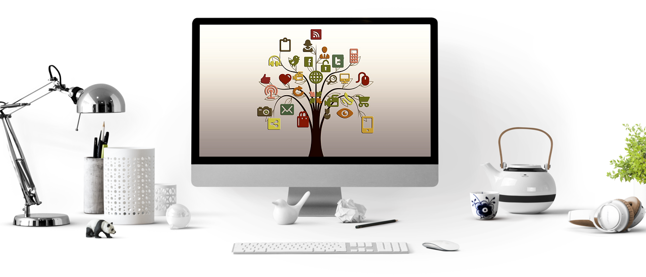 SEO Company Perth
