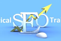 Practical SEO Training